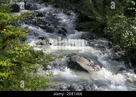 Un ruisseau de montagne sauvage avec de l'eau claire en libre nature Banque D'Images