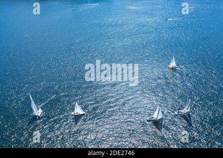 Vue sur la course de yacht depuis la tour de l'hôtel de ville lors de la Journée nationale de Suède, Stockholm, Suède, Scandinavie, Europe Banque D'Images