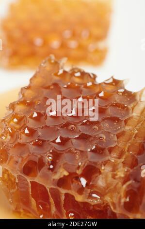 Miel sucré en cire à peigne macro vue rapprochée Banque D'Images