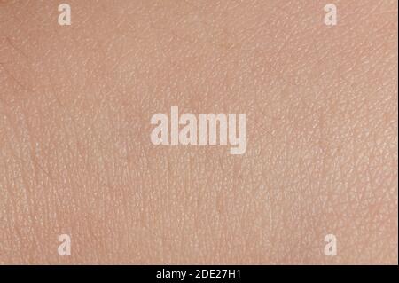 Gros plan des pores sur la peau humaine jeune Banque D'Images