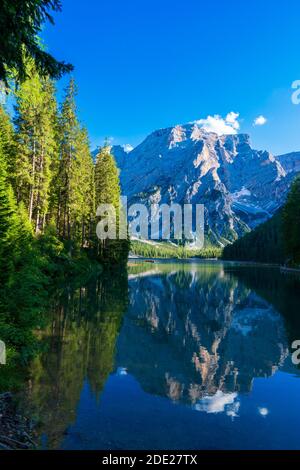 Une merveilleuse matinée de brume au lac de Braies, dans les alpes Dolomites. Paysage naturel incroyable. le lac et Seekofel se montent en arrière-plan dans le brouillard, au lever du soleil. Lac Banque D'Images