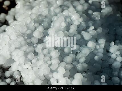 Pile de grêle qui vient de tomber. Gros plan. Banque D'Images