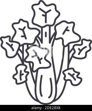 Icône de céleri frais, illustration isolée linéaire, vecteur de ligne mince, signe de web design, symbole de concept de contour avec contour modifiable sur fond blanc. Illustration de Vecteur