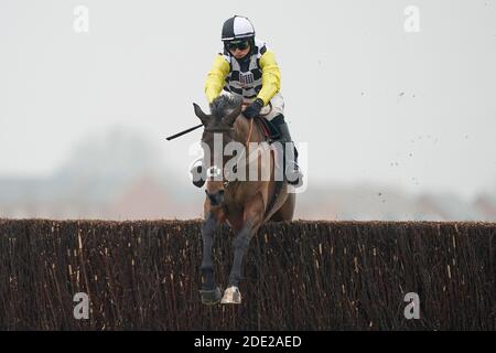 Prochaine destination criblée par Harry Cobden sort le dernier à gagner le Ladbrokes John Francome novices' Chase à Newbury Racecourse. Banque D'Images