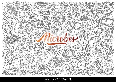 Différentes bactéries et virus dessinés à la main. Illustration de Vecteur