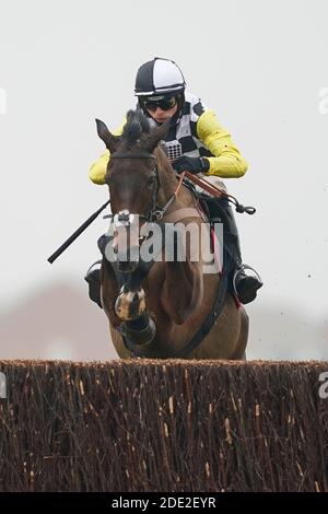 Prochaine destination criblée par Harry Cobden sort le dernier à gagner le Ladbrokes John Francome novices' Chase à Newbury Racecourse. Banque D'Images