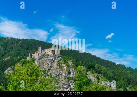 château de strecno dans le paysage de montagne d'été en slovaquie Banque D'Images