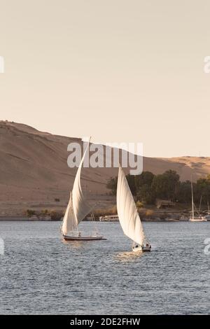 Feluccas sur le Nil, Assouan, Égypte Banque D'Images