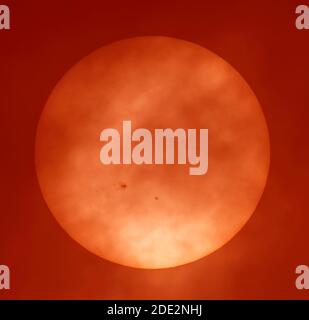 Londres, Royaume-Uni. 28 novembre 2020. Le nuage et la brume de l'après-midi créent un filtre à travers lequel une tache de soleil massive est visible sur un soleil nuageux. Ce spot solaire, AR2786, le plus grand depuis des années et plusieurs fois le diamètre de la planète Terre est une source potentielle de fusées éclairantes solaires de classe M. Le plus petit sunpot à droite est AR2785. Cette image a été colorisée. Crédit : Malcolm Park/Alay Live News. Banque D'Images