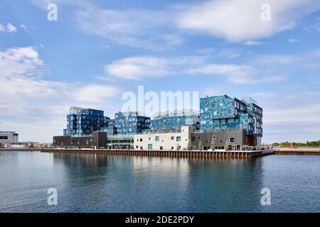 Copenhague International School (CIS), conçu par C.F. Møller Architects (2017); Levantkaj, Copenhague, Danemark Banque D'Images