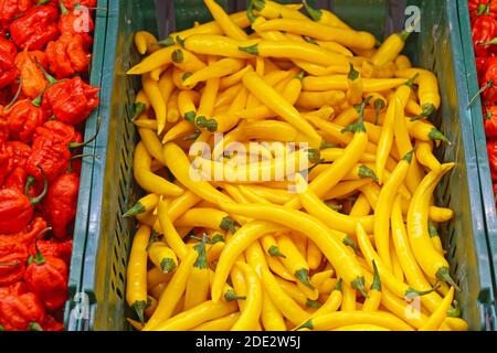 Grand bouquet de piments jaunes chauds Banque D'Images