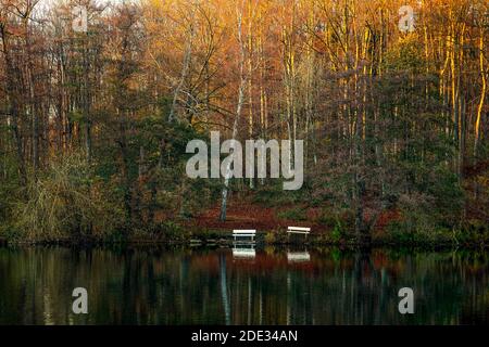 Le Dieksee à Malente, en Allemagne, est particulièrement beau en automne. Parfait quand il n'y a pas de vent et les arbres sont réfléchis dans le lac. Banque D'Images