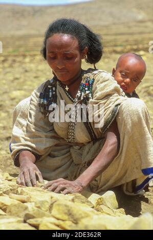 Femme, portant son bébé sur le dos, terrafiant les champs pour empêcher l'érosion des sols dans un programme de nourriture pour le travail de la communauté. Tigray, Éthiopie Banque D'Images