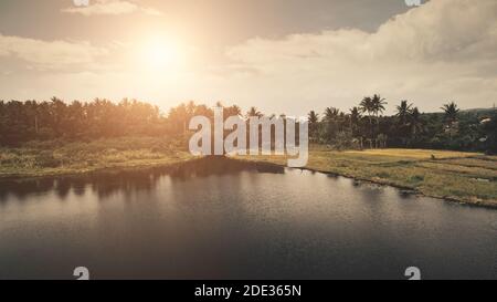 Forêt tropicale au soleil à l'antenne de bord de lac. Personne paysage de la nature à Legazpi ville, Mayon Mount, Philippines, Asie. Côte d'herbe verte aux palmiers et eau sereine avec reflet du soleil. Prise de vue en lumière douce Banque D'Images