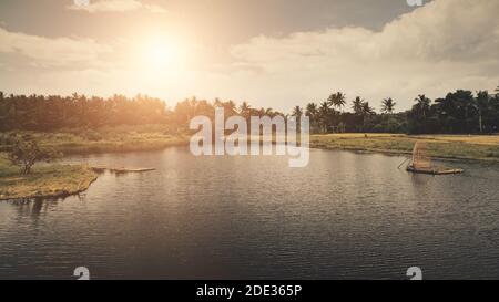 Forêt tropicale au soleil à l'antenne de bord de lac. Côte d'herbe verte aux palmiers et eau sereine avec reflet du soleil. Lumière douce personne paysage tropical nature. Paysage cinématographique des Philippines Banque D'Images