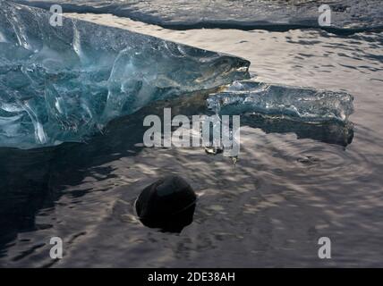 Glace bleu vitreux qui se fond dans le lagon glaciaire de Jokusarlon, en Islande, avec un morceau de pierre zen dans l'eau Banque D'Images