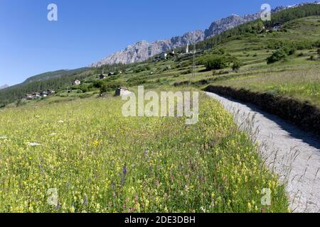 Vue sur la montagne italienne dans une journée d'été ensoleillée à proximité Bormio Banque D'Images