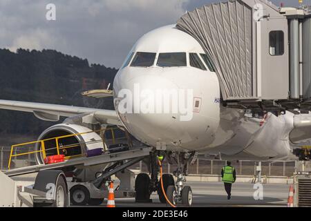 Vue avant de l'avion passager de type Airbus A320 avec bagages sur le tapis roulant à travers la porte de chargement et pont d'embarquement des passagers connectés. Banque D'Images