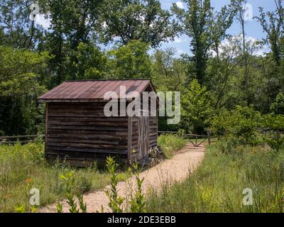 une petite cabane en bois dans la forêt Banque D'Images