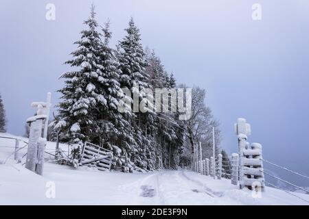 Route rurale dans un paysage enneigé dans les alpes autrichiennes (Filzmoos, comté de Salzbourg) Banque D'Images