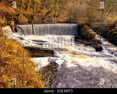 Birkacre Weir à Yarrow Valley Country Park couvre plus de 300 hectares et est situé entre Chorley et Coppull. Banque D'Images