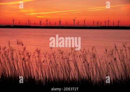 Éoliennes sur le marais Walland, marais Romny, à Sunset, Kent/East Sussex, Angleterre Banque D'Images