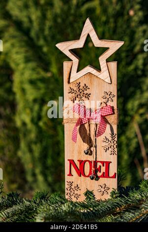 Éléments de décoration en bois pour Noël sur fond vert naturel Banque D'Images