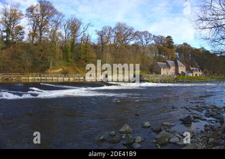 En regardant en aval sur la rivière Tweed vers Mertoun Weir avec Mertoun Mill en arrière-plan près de St Boswells, Roxburghshire, Scottish Borders, Royaume-Uni. Banque D'Images