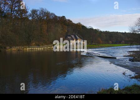 En regardant en aval sur la rivière Tweed vers Mertoun Weir avec Mertoun Mill en arrière-plan près de St Boswells, Roxburghshire, Scottish Borders, Royaume-Uni. Banque D'Images