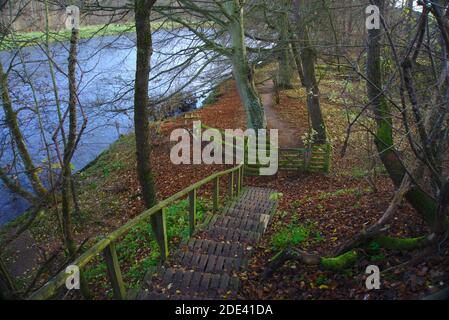 Des marches vous mènent du pont Mertoun à la porte couverte de mousse et à l'escrime sur St Cuthbert's Way à côté de la rivière Tweed près de St Boswells, en Écosse. Banque D'Images