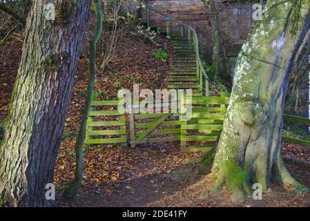 Porte en bois recouverte de mousse et escrime au bas des escaliers vus à travers les arbres sur la route de St Cuthbert menant au pont Mertoun près de la rivière Tweed. Banque D'Images