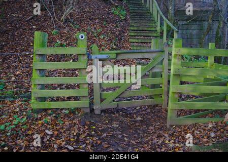 Porte en bois recouverte de mousse et escrime au bas des escaliers sur la route de St Cuthbert menant au pont Mertoun par la rivière Tweed, Scottish Borders, Royaume-Uni. Banque D'Images
