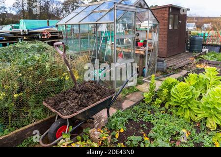 Jardin d'allotement avec légumes, serre et brouette plein de fumier et de bêche, Kilwinning, Ayrshire, Royaume-Uni Banque D'Images