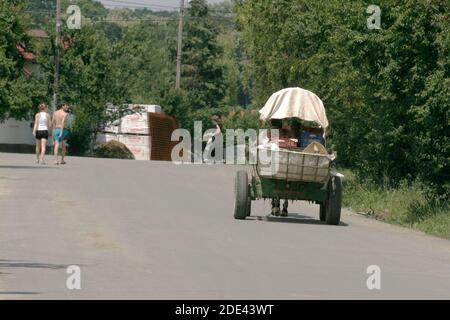 Fermiers roumains portant des tomates dans un petit chariot tiré par des chevaux Banque D'Images