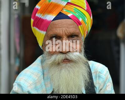 Le vieux Sikh indien souleux, avec un visage ridé et des yeux bruns chaleureux, porte un dinban de dastar sikh coloré et pose pour la caméra. Banque D'Images