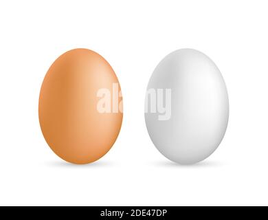 Deux œufs blancs réalistes vectoriels. Œufs isolés sur fond blanc. Illustration du stock vectoriel. Illustration de Vecteur