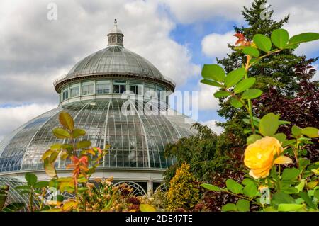 Enid A. Haupt Conservatory and Pond with Water lilies Greenhouse, New York Botanical Garden, Bronx, New York City, New York State, États-Unis. Banque D'Images