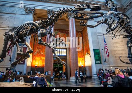 Exposition de squelette de dinosaure dans la salle principale du musée américain sur l'histoire naturelle à Manhattan, New York Banque D'Images