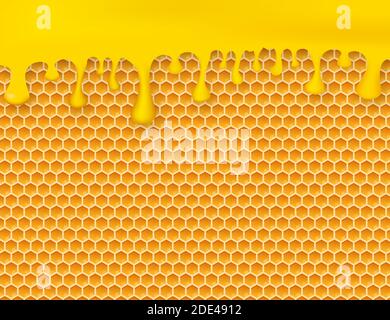 Nid d'abeille et miel. Motif miel monochrome. Illustration du stock vectoriel. Illustration de Vecteur