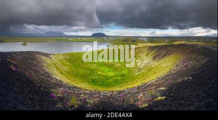 Cratère volcanique à la mousse verte, fleurs violettes et nuages sombres spectaculaires au lac Myvatn, Skutustaoir, Eystra de Norourland, Islande Banque D'Images