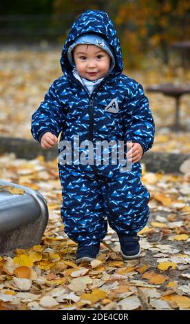 Tout-petit, garçon, 15 mois, multiethnique, en feuilles d'automne, rires, Stuttgart, Bade-Wurtemberg, Allemagne Banque D'Images