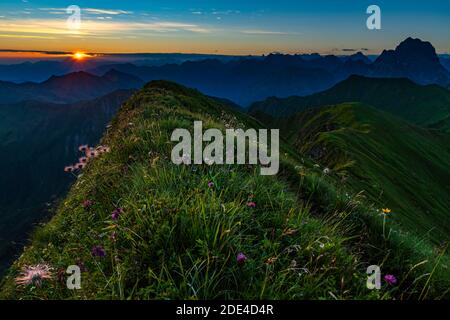 Petit sentier de montagne avec prairie à fleurs et Alpes d'Allgaeu derrière lui au lever du soleil, Schoppernau, Bregenzerwald, Vorarlberg, Autriche Banque D'Images