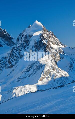 Piz Roseg, 3937 m, vue de Piz Corvatsch, Graubuenden, Suisse Banque D'Images