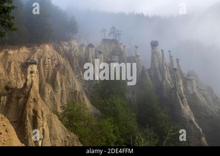 Pyramides de la terre près de Perchau dans la brume, Tyrol du Sud, Italie Banque D'Images