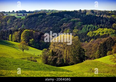 Paysage vallonné avec prairies et forêts au printemps, Radevormwald, Bergisches pays, Rhénanie-du-Nord-Westphalie, Allemagne Banque D'Images