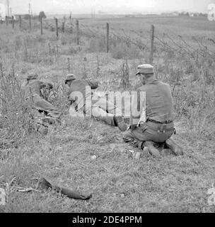 Prisonniers allemands qui défrichement d'un champ de mines sur la côte ouest du Jutland, au Danemark, 1945 Banque D'Images