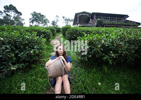 modèle fermier asiatique de style costume tribal carry tissé style de vie de l'origine du panier dans une plantation de thé de haute montagne avec brume matinale très bien situé Banque D'Images