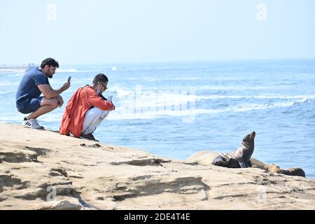 San Diego CA USA 10-04-2020 Tourisme prendre une photo d'un sceau sur la plage Banque D'Images