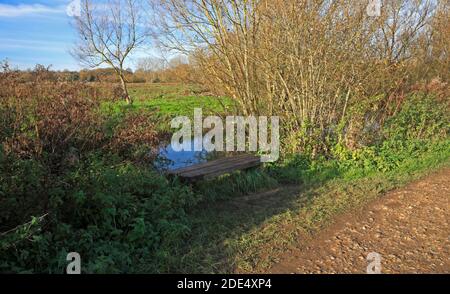 Une banquette en bois près de la rivière Yare sur un sentier de randonnée circulaire autour de la réserve naturelle locale de Marston Marshes à Norwich, Norfolk, Angleterre, Royaume-Uni. Banque D'Images