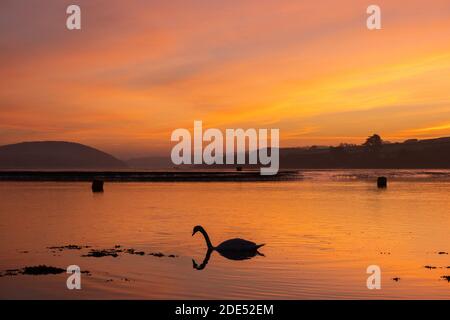 Padstow, Cornwall, Royaume-Uni. 29 novembre 2020. Météo Royaume-Uni. Un magnifique lever de soleil sur la rivière Camel à Padstow. Crédit Simon Maycock / Alamy Live News. Banque D'Images